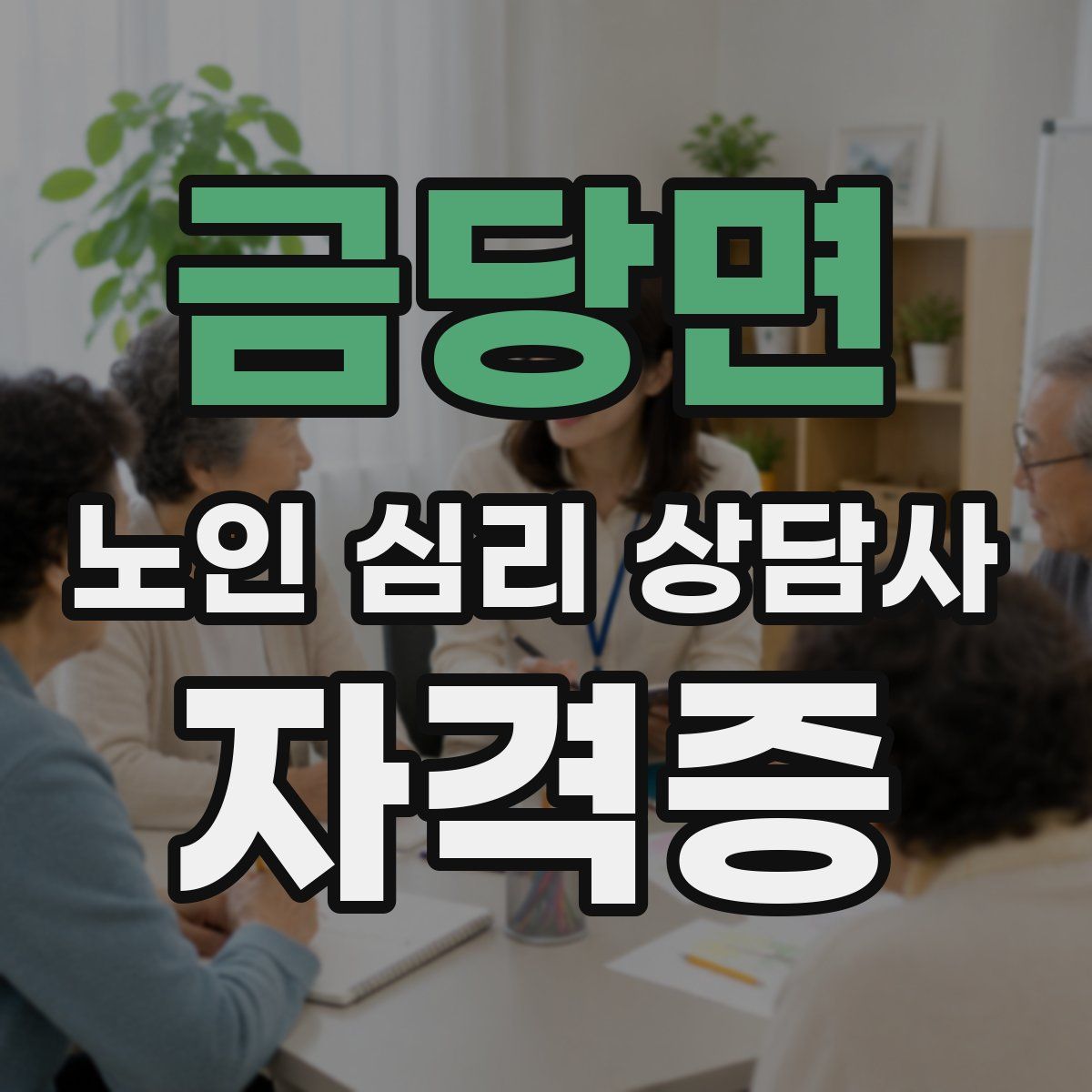 금당면 노인 심리 상담사 자격증