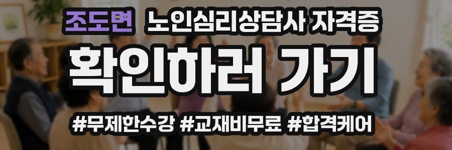 조도면 노인 심리 상담사 자격증