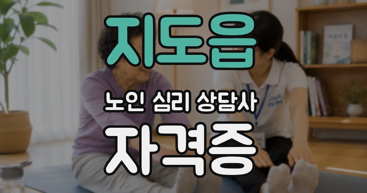 지도읍 노인 심리 상담사 자격증