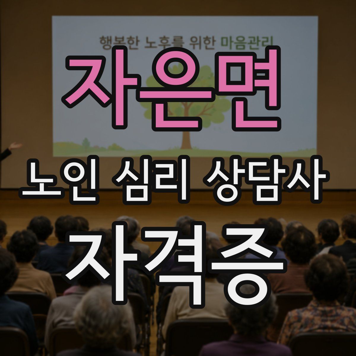 자은면 노인 심리 상담사 자격증