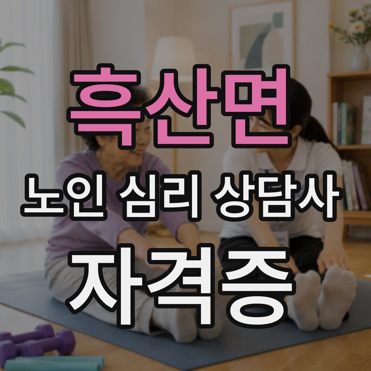 흑산면 노인 심리 상담사 자격증
