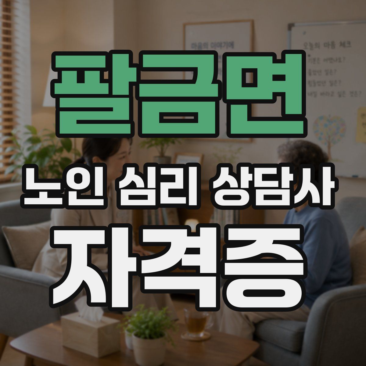 팔금면 노인 심리 상담사 자격증