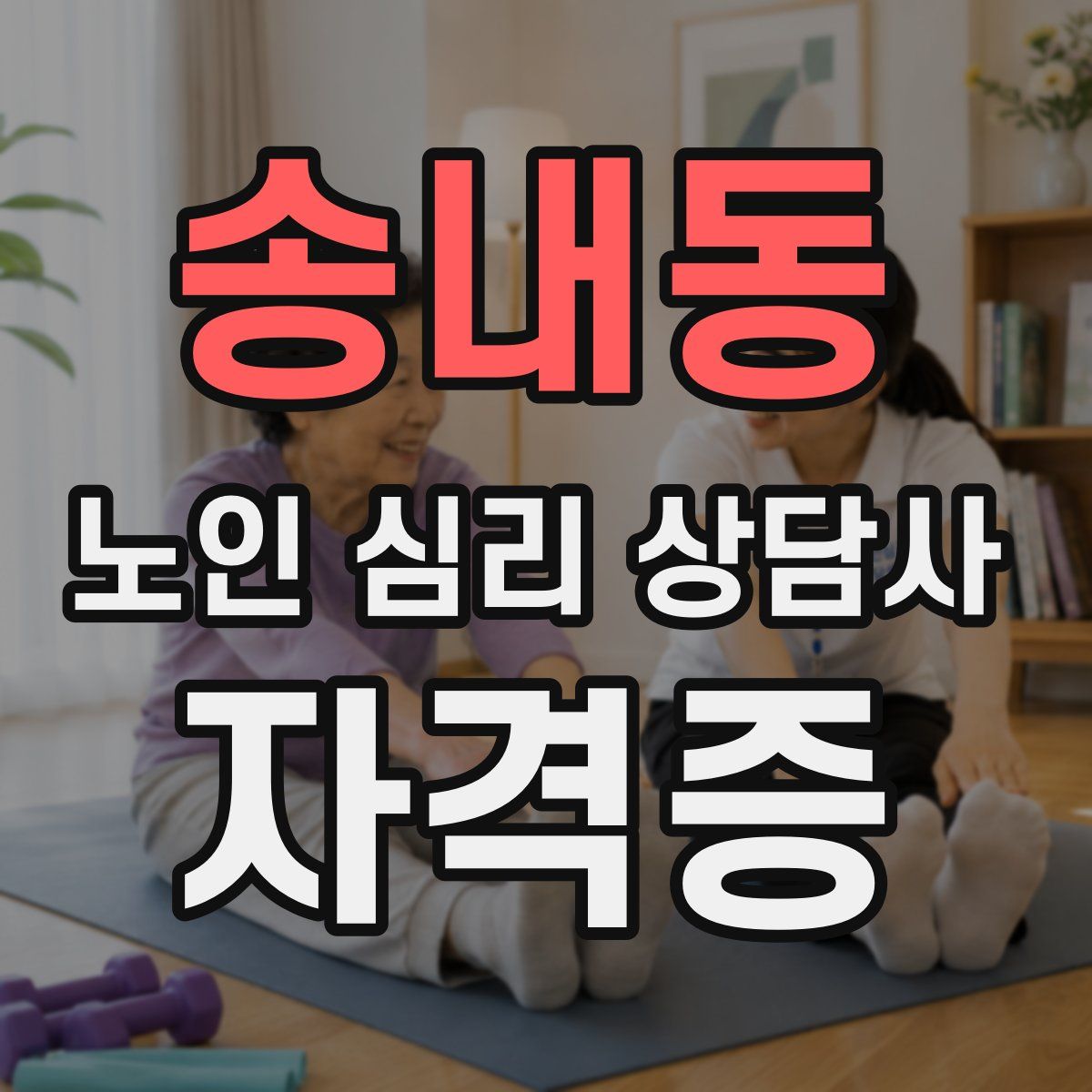 송내동 노인 심리 상담사 자격증
