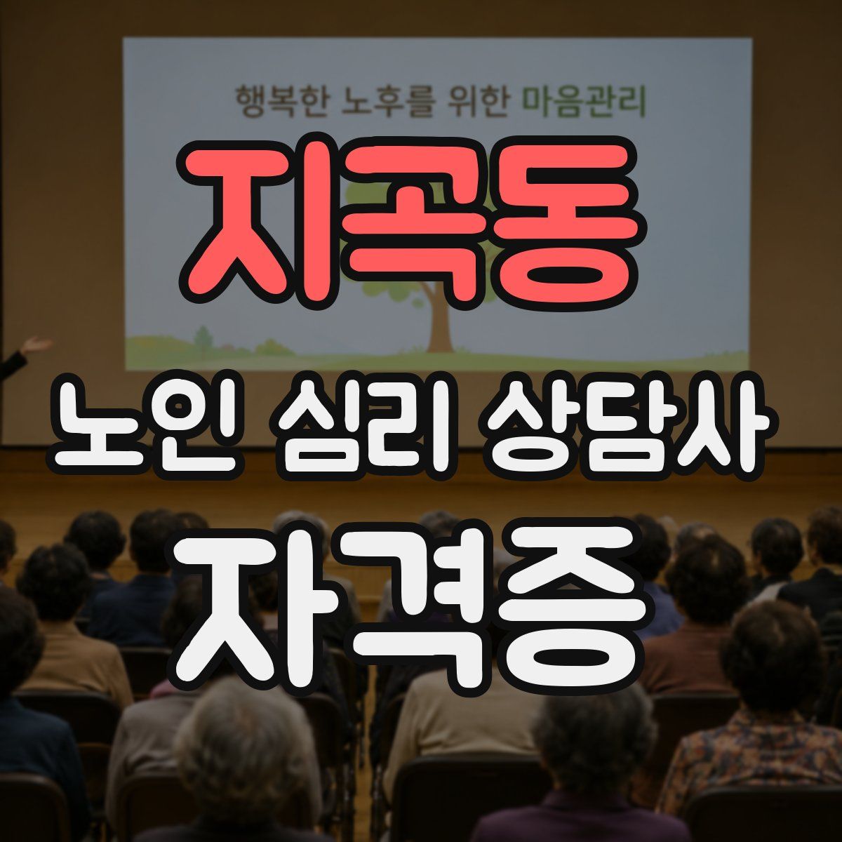 지곡동 노인 심리 상담사 자격증