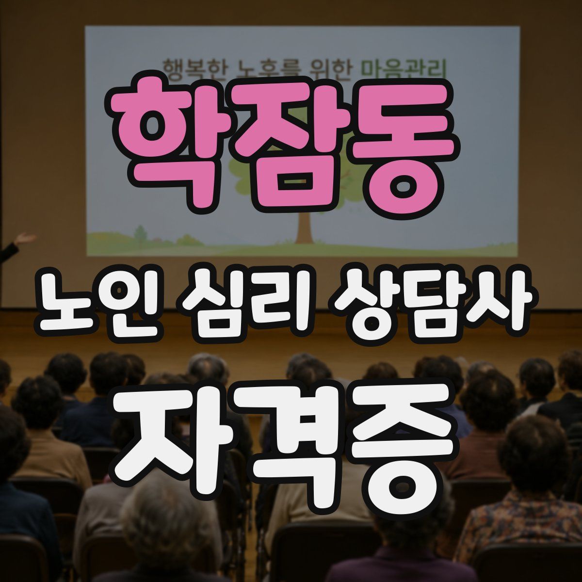 학잠동 노인 심리 상담사 자격증