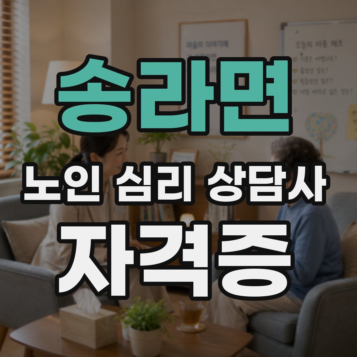 송라면 노인 심리 상담사 자격증