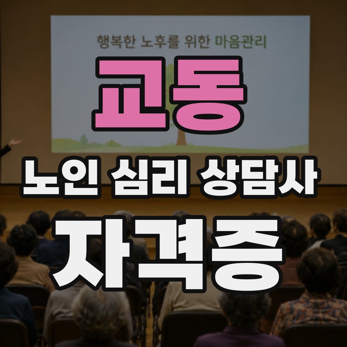 교동 노인 심리 상담사 자격증