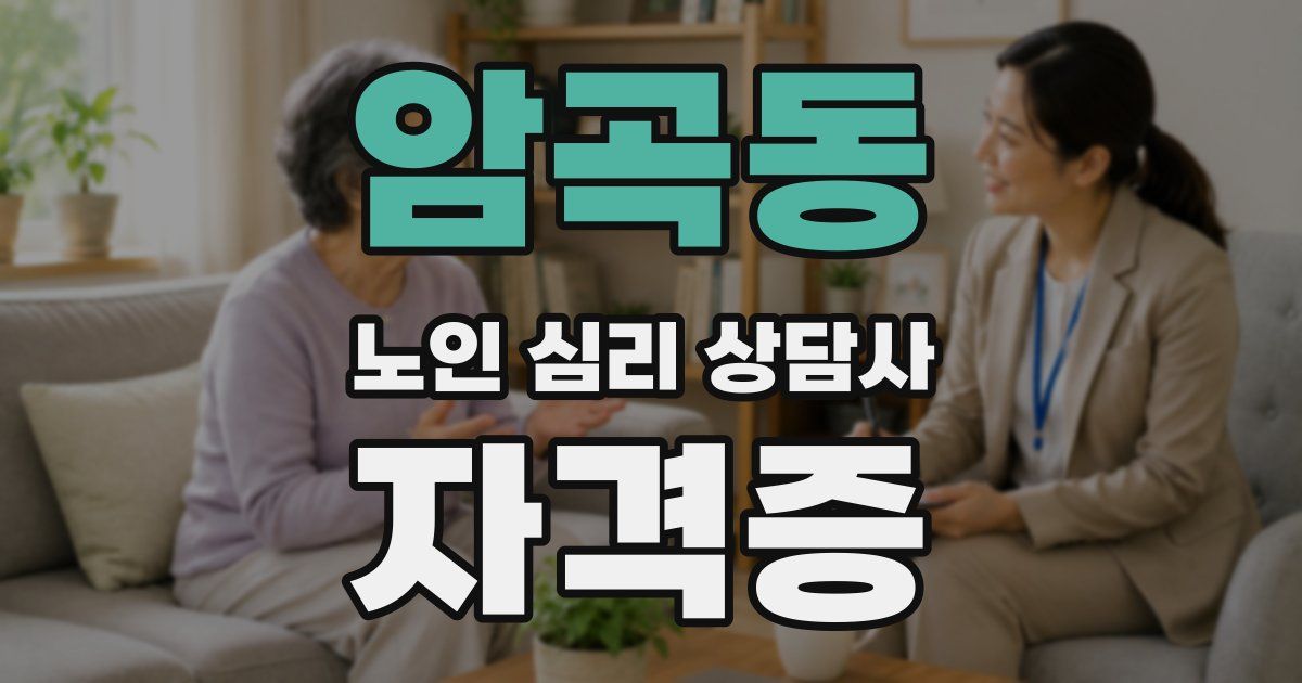 암곡동 노인 심리 상담사 자격증