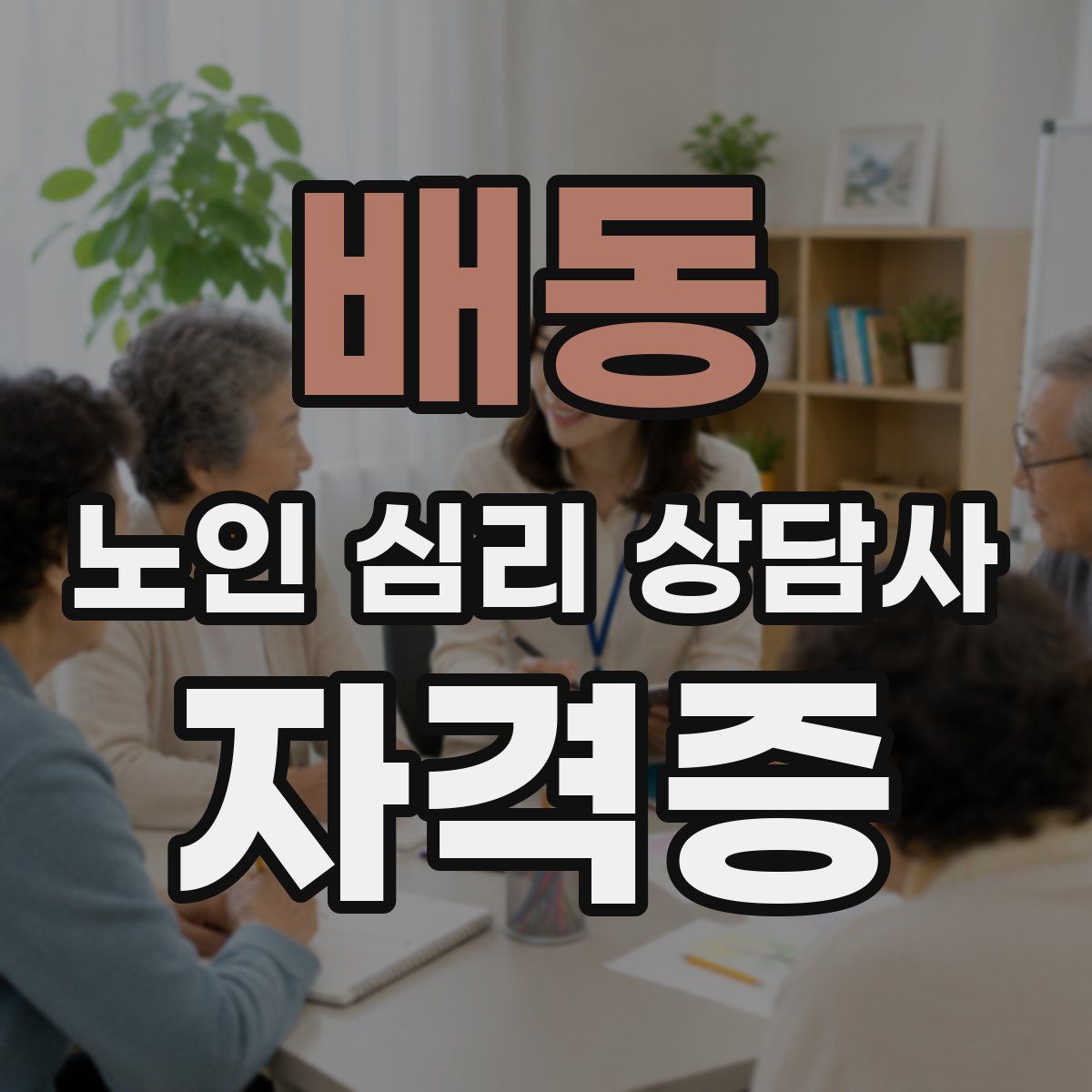 배동 노인 심리 상담사 자격증