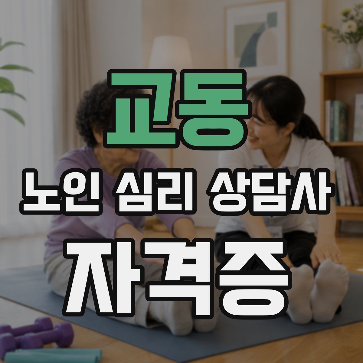 교동 노인 심리 상담사 자격증