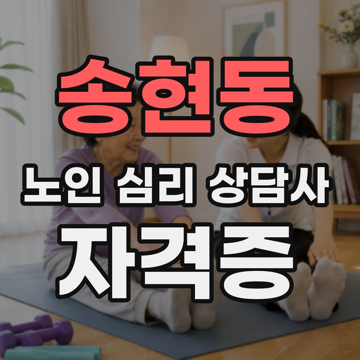 송현동 노인 심리 상담사 자격증