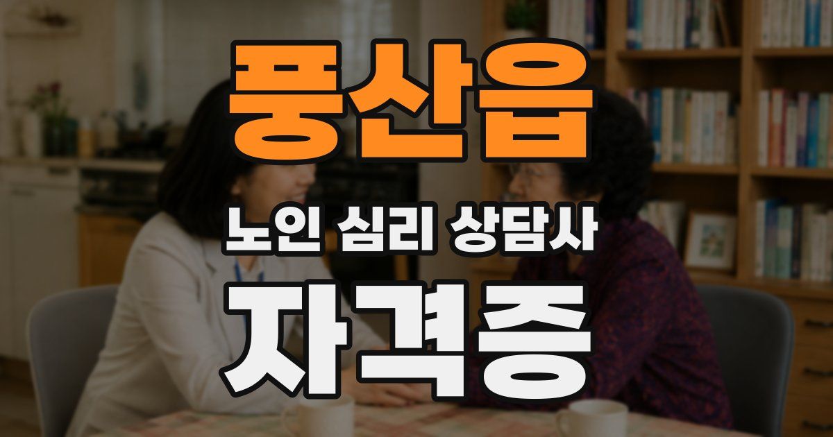 풍산읍 노인 심리 상담사 자격증