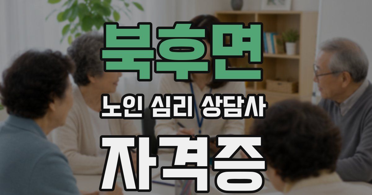 북후면 노인 심리 상담사 자격증