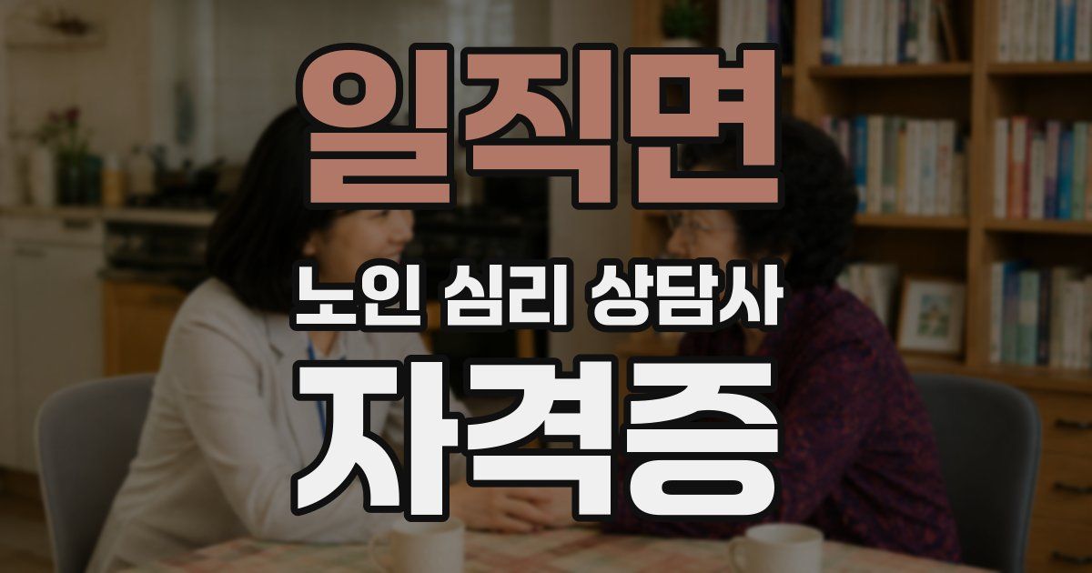 일직면 노인 심리 상담사 자격증