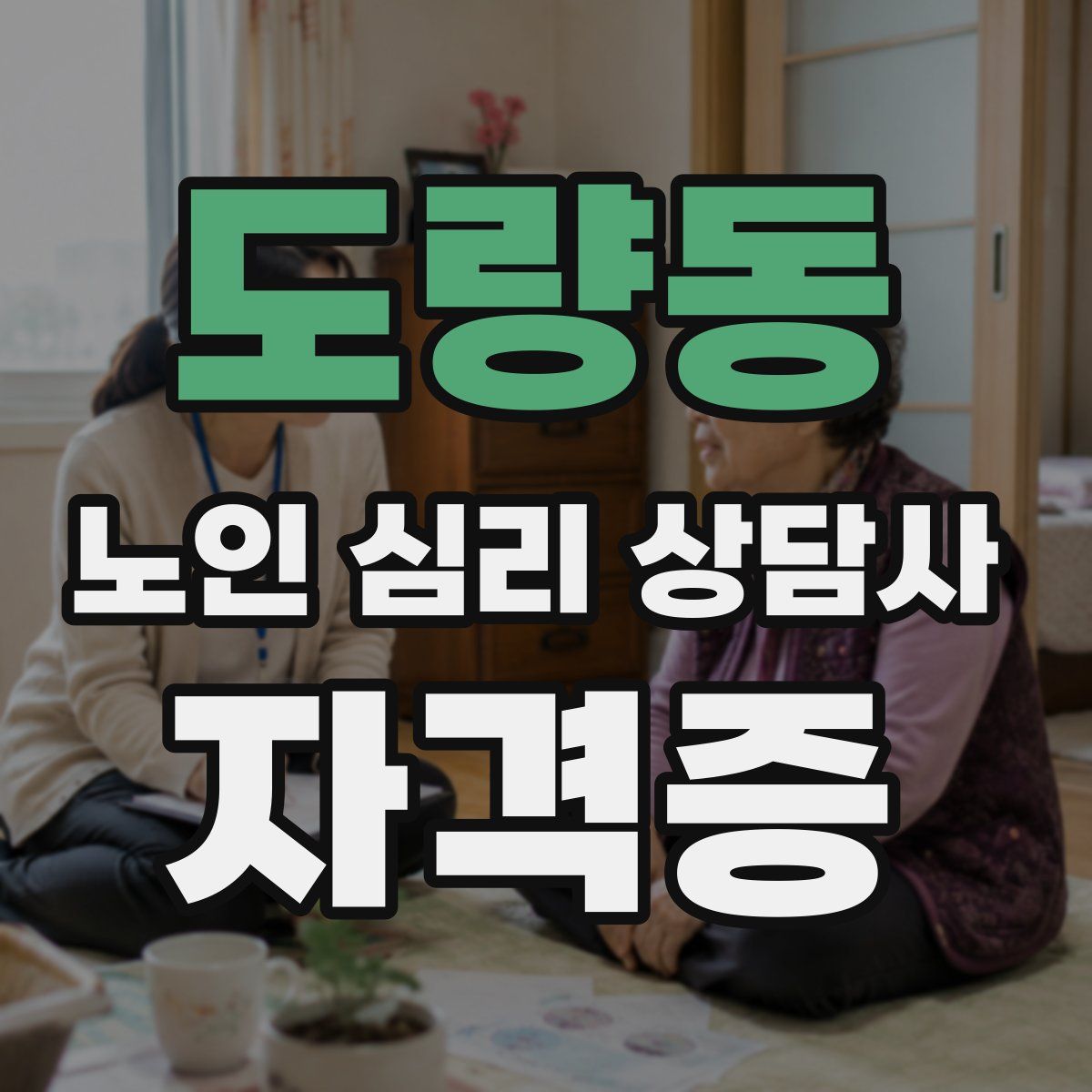 도량동 노인 심리 상담사 자격증