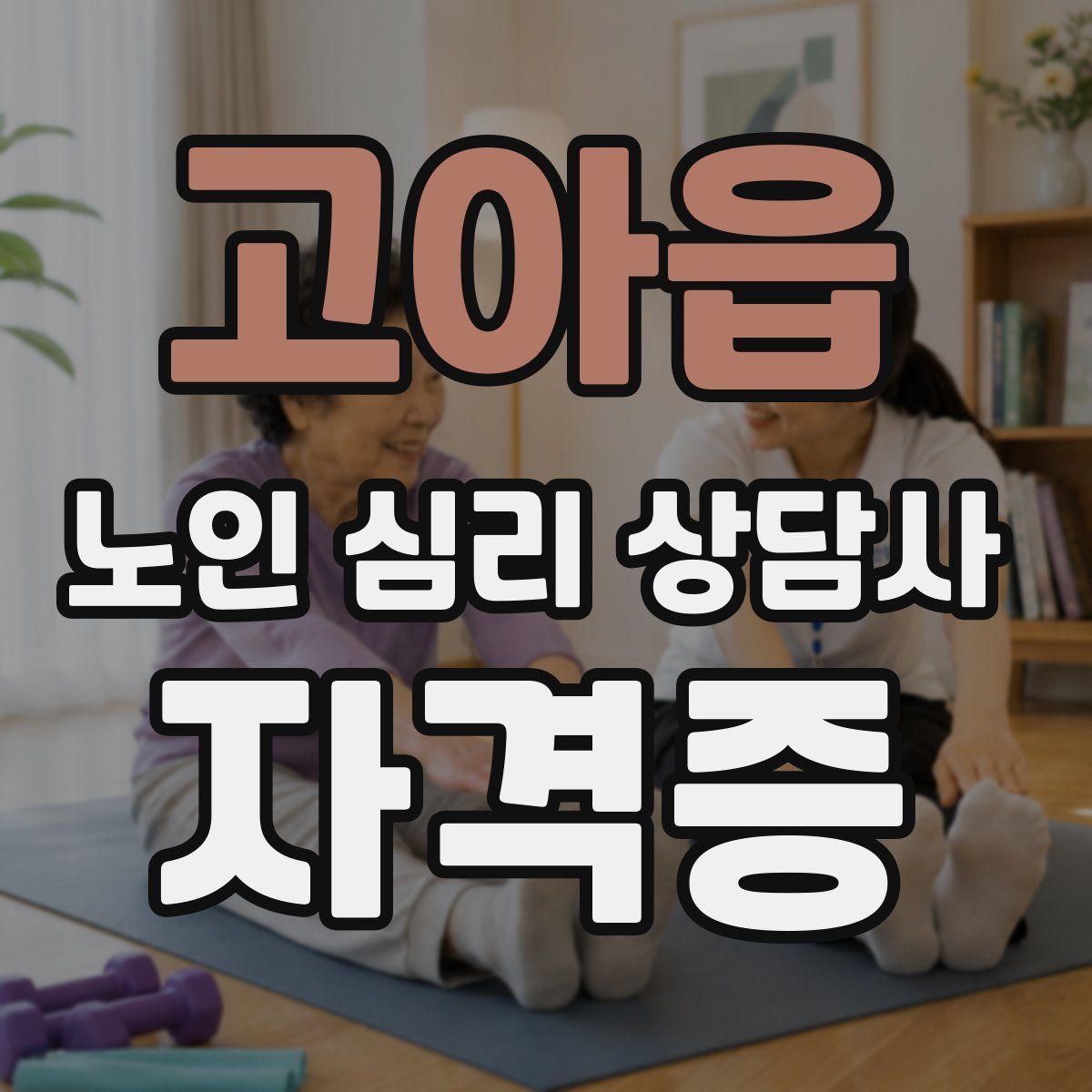 고아읍 노인 심리 상담사 자격증