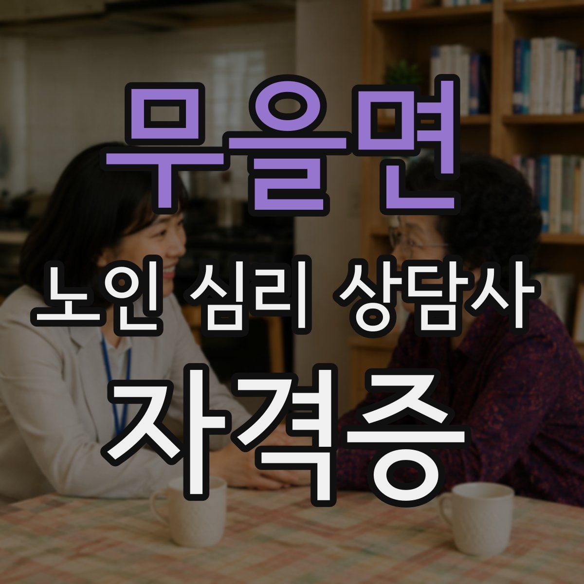 무을면 노인 심리 상담사 자격증