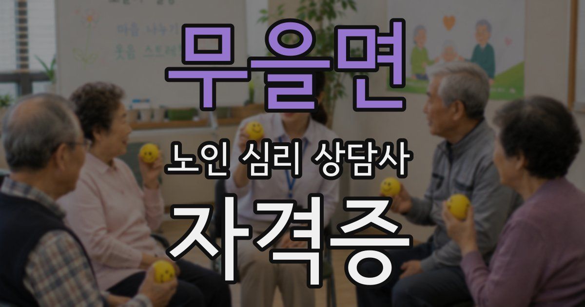 무을면 노인 심리 상담사 자격증