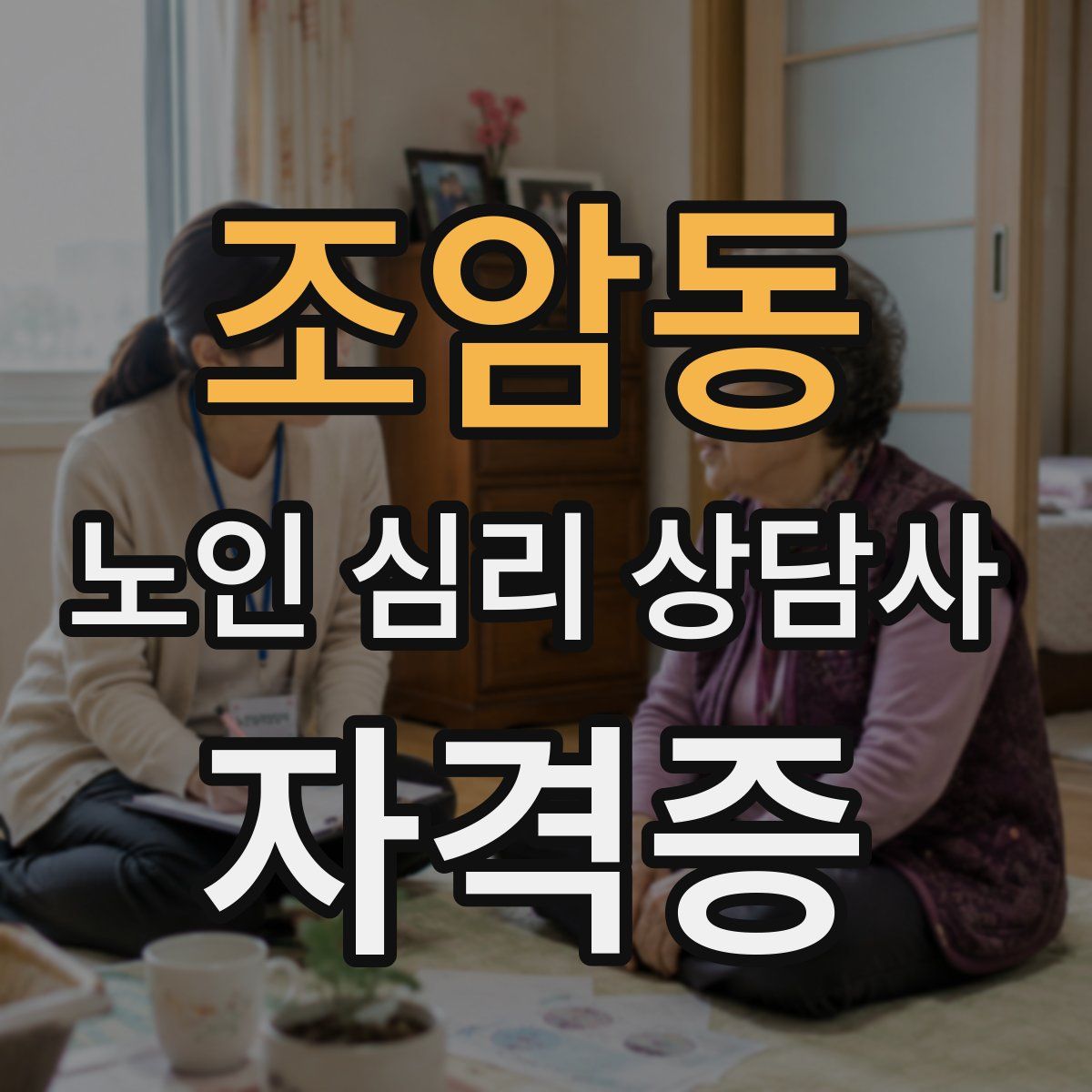 조암동 노인 심리 상담사 자격증