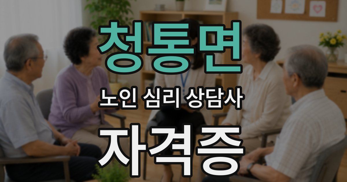 청통면 노인 심리 상담사 자격증