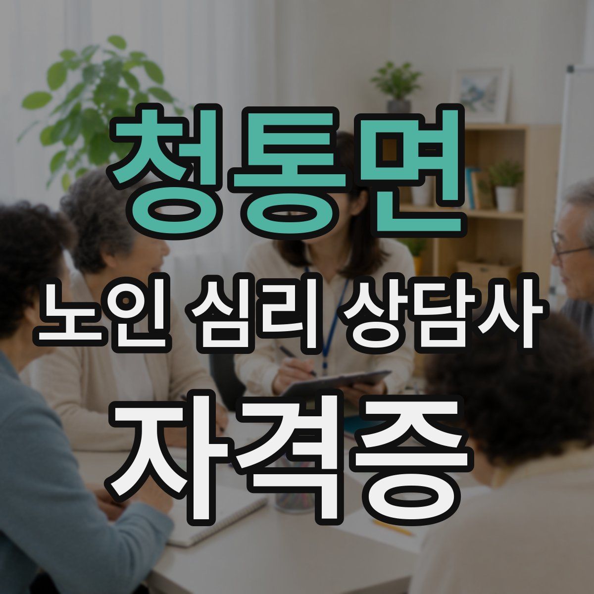 청통면 노인 심리 상담사 자격증