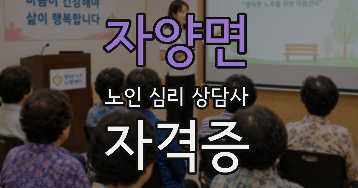 자양면 노인 심리 상담사 자격증