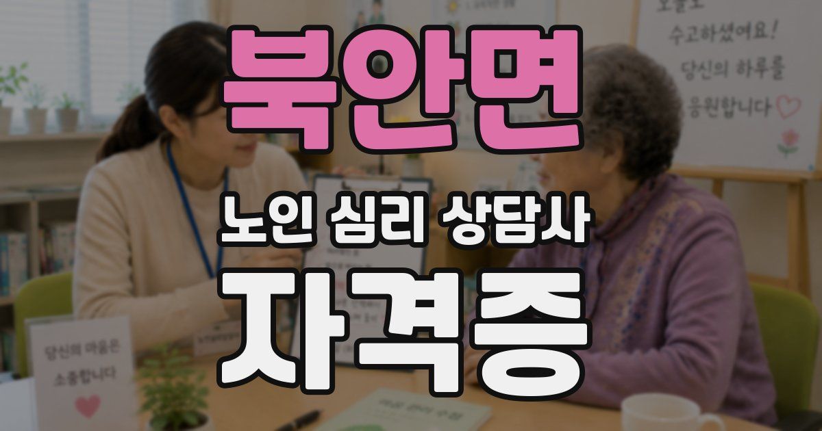 북안면 노인 심리 상담사 자격증