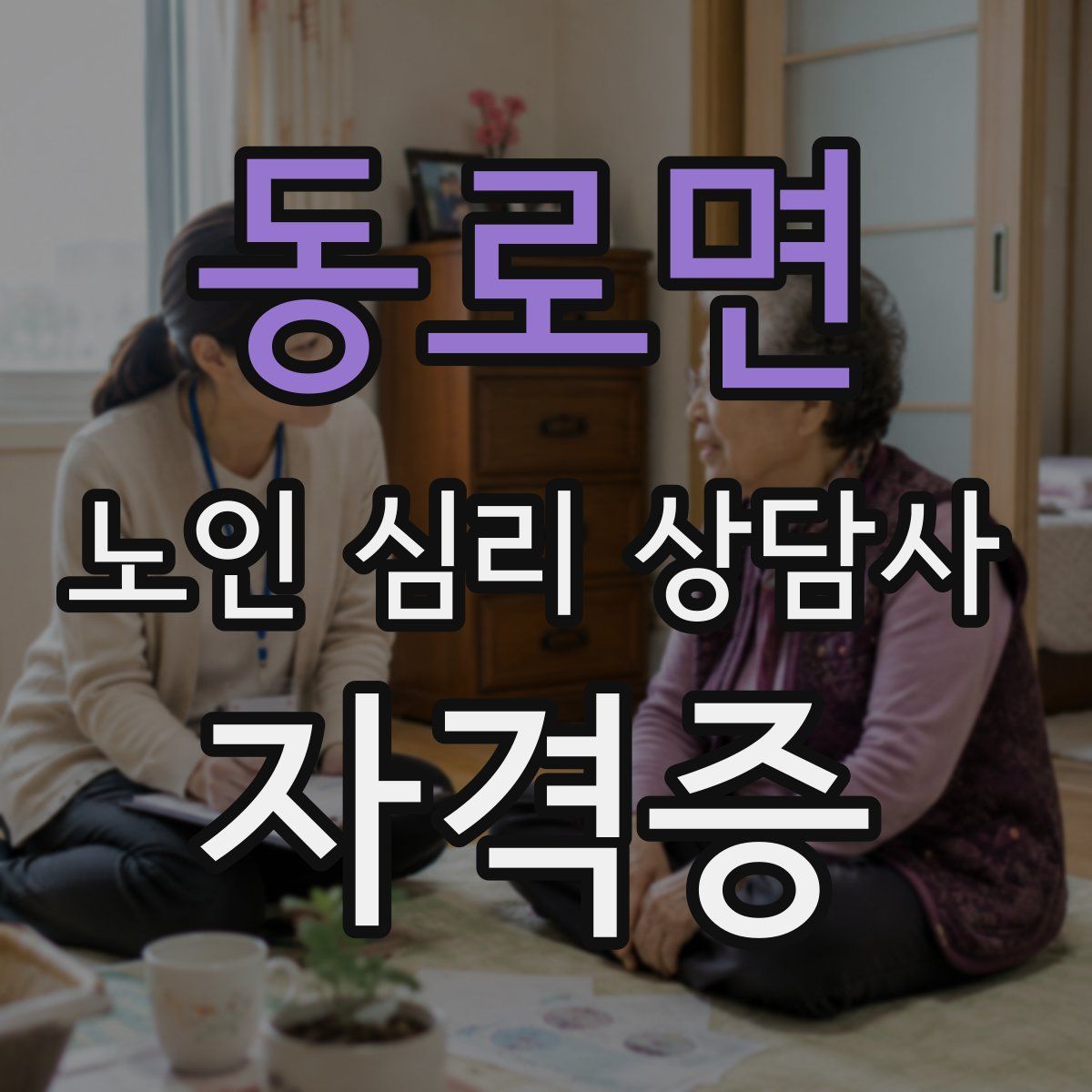 동로면 노인 심리 상담사 자격증