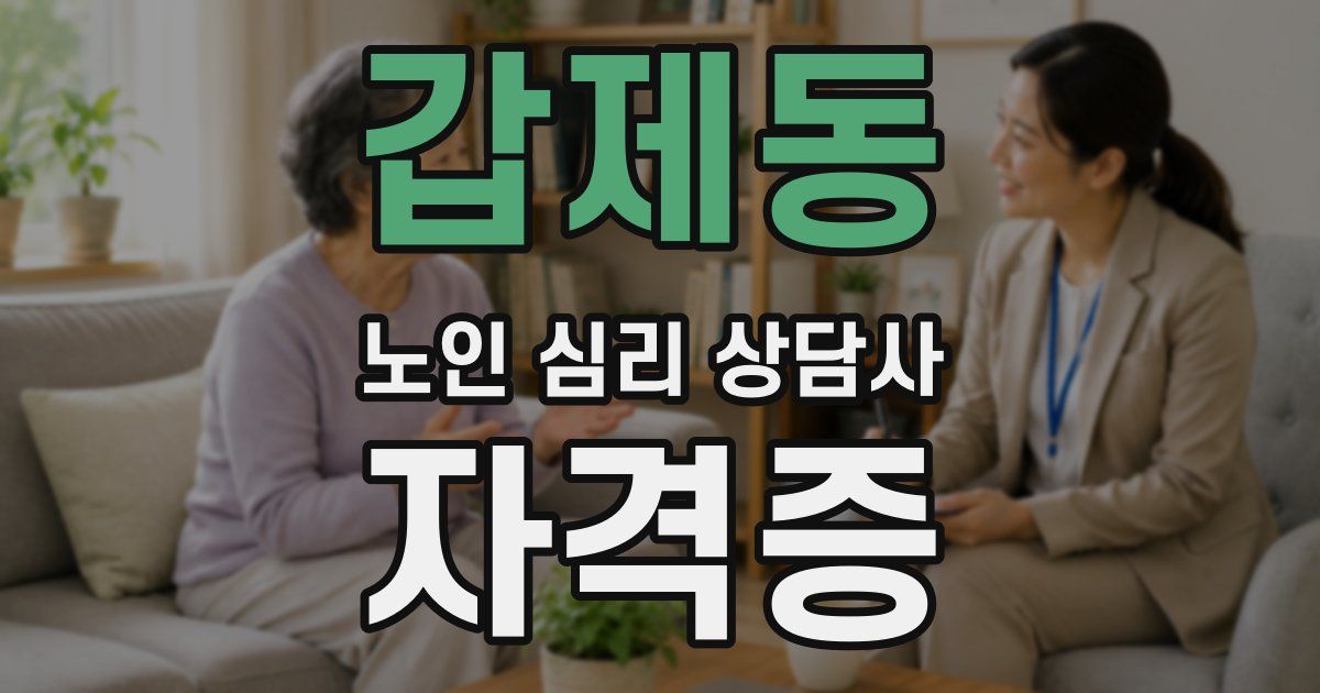 갑제동 노인 심리 상담사 자격증