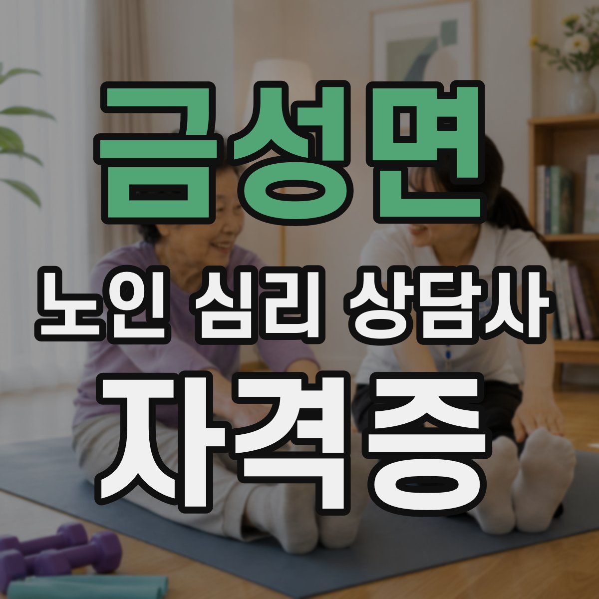 금성면 노인 심리 상담사 자격증