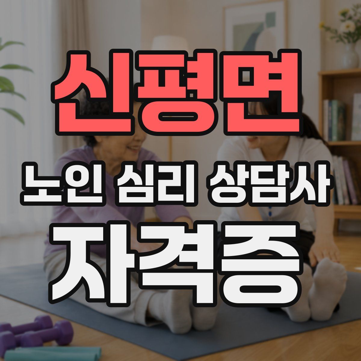신평면 노인 심리 상담사 자격증