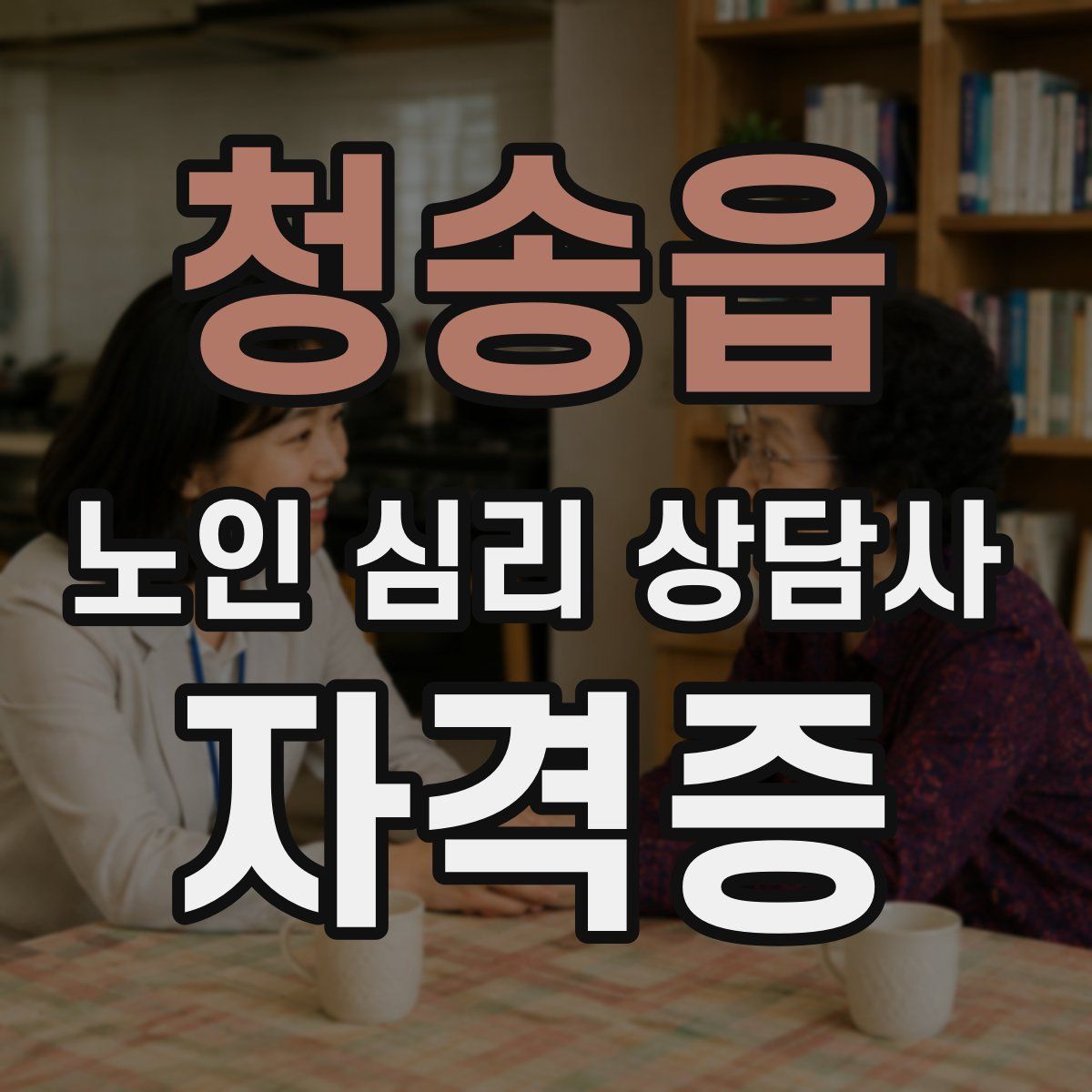 청송읍 노인 심리 상담사 자격증