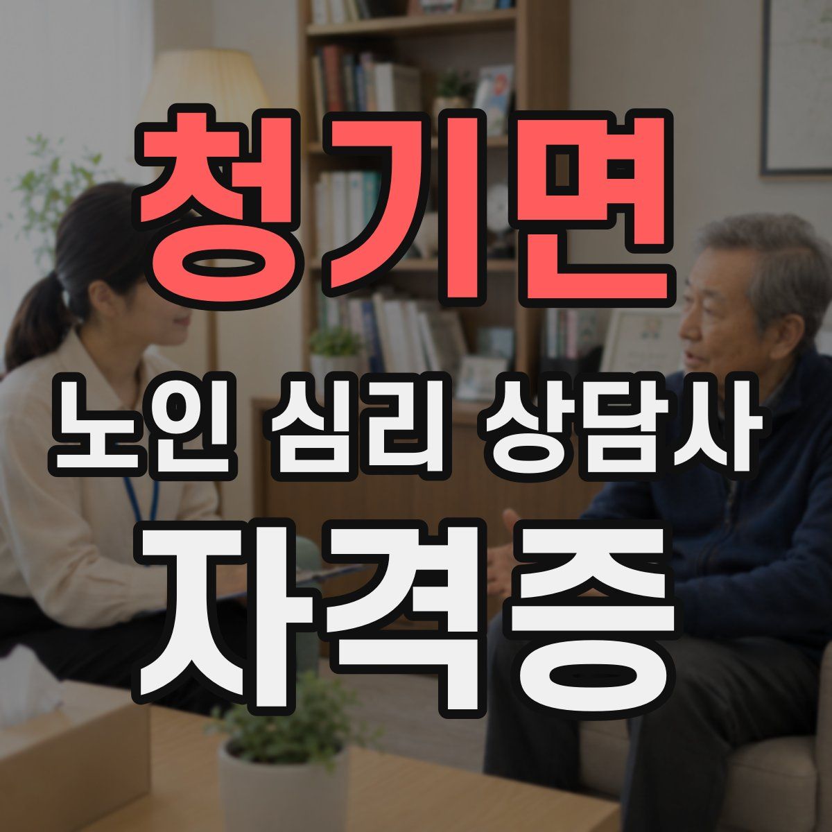 청기면 노인 심리 상담사 자격증