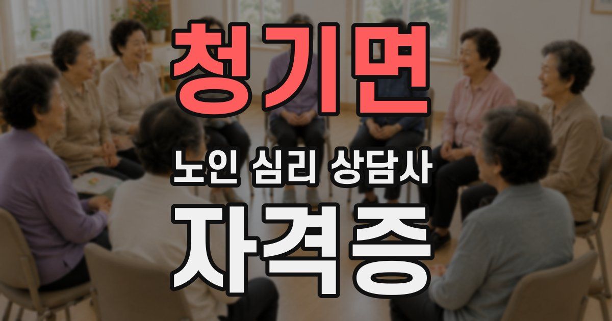 청기면 노인 심리 상담사 자격증