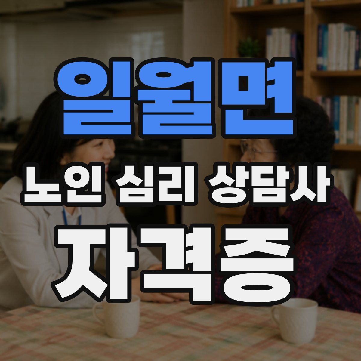 일월면 노인 심리 상담사 자격증