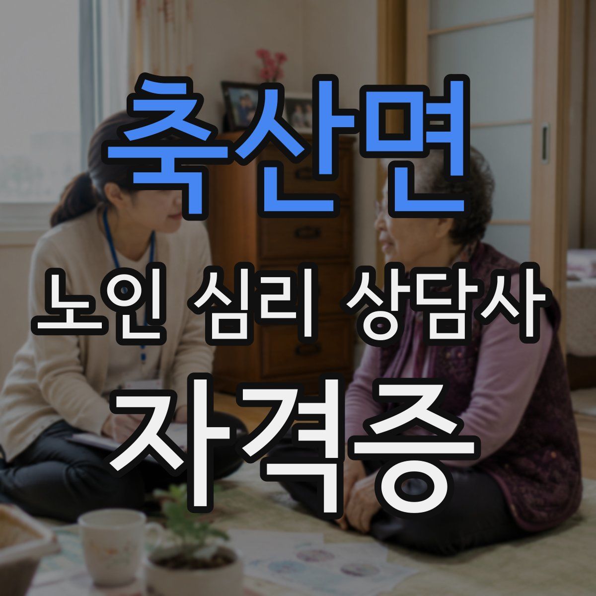 축산면 노인 심리 상담사 자격증