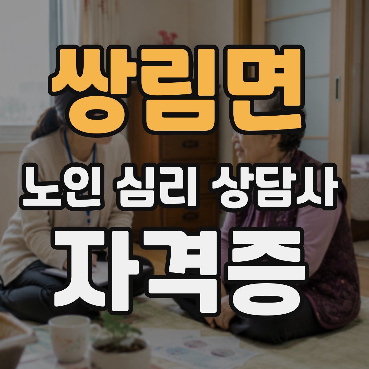 쌍림면 노인 심리 상담사 자격증