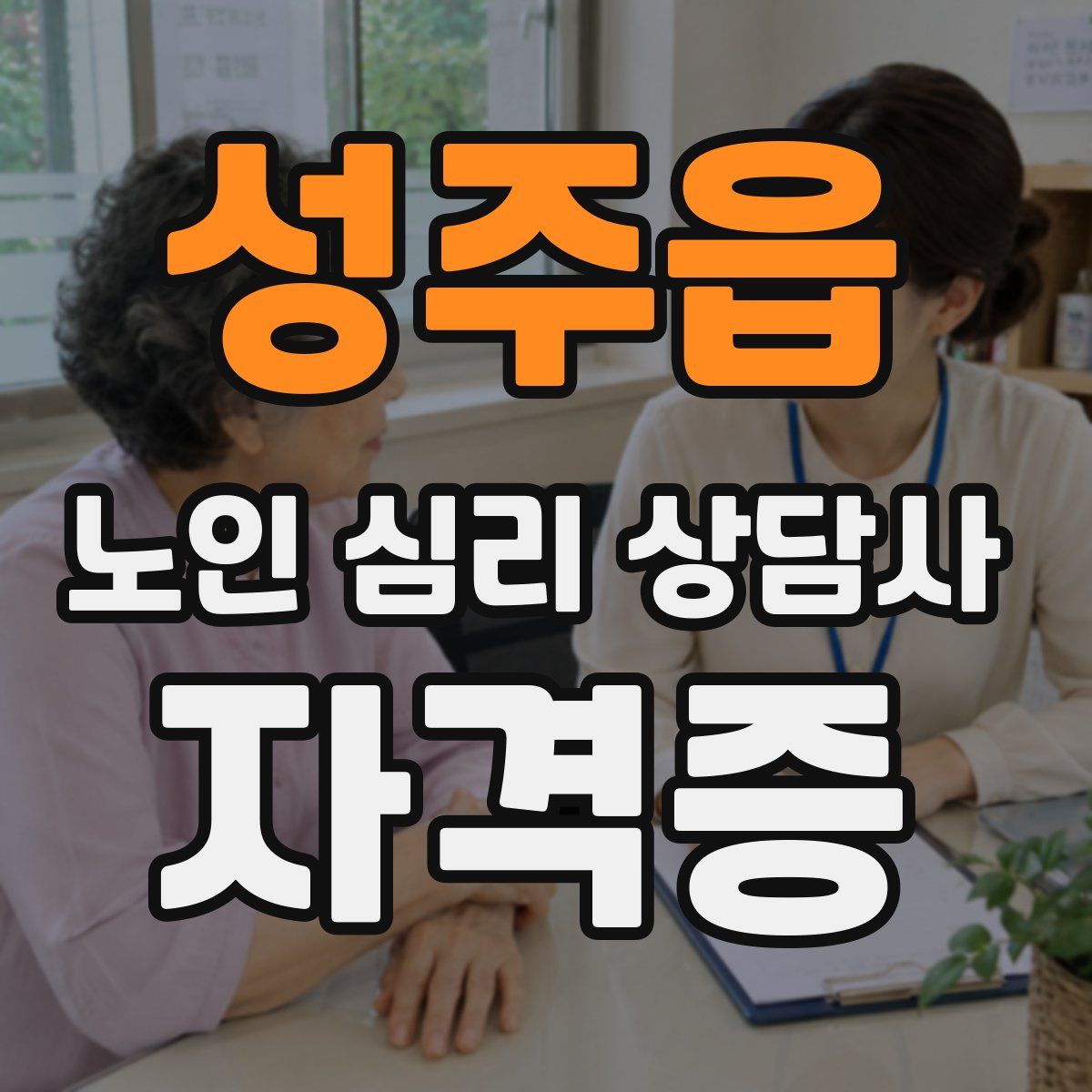 성주읍 노인 심리 상담사 자격증