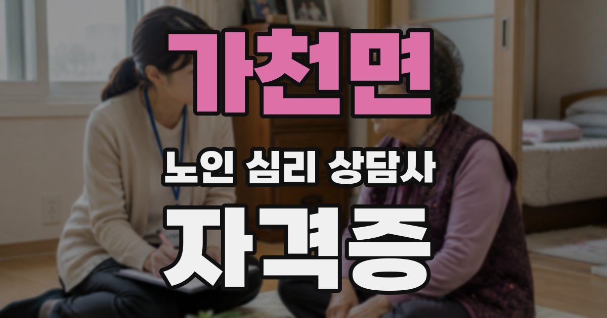 가천면 노인 심리 상담사 자격증