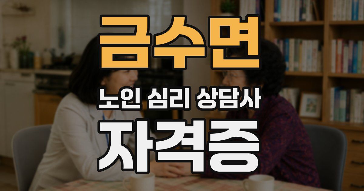 금수면 노인 심리 상담사 자격증