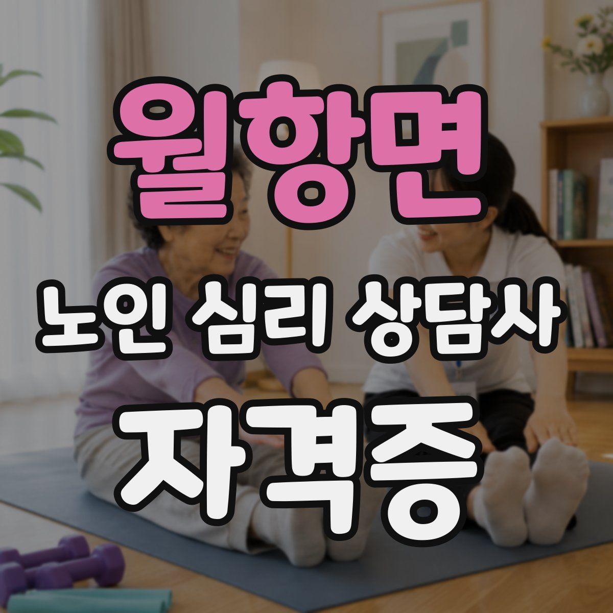 월항면 노인 심리 상담사 자격증