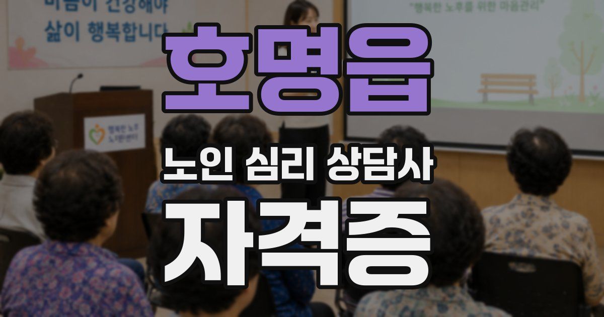 호명읍 노인 심리 상담사 자격증
