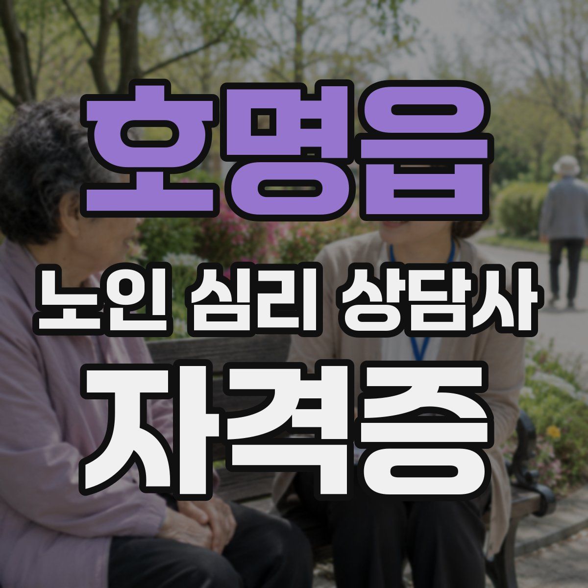 호명읍 노인 심리 상담사 자격증