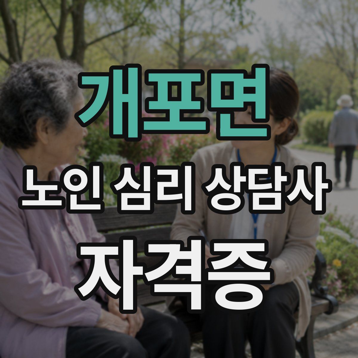 개포면 노인 심리 상담사 자격증