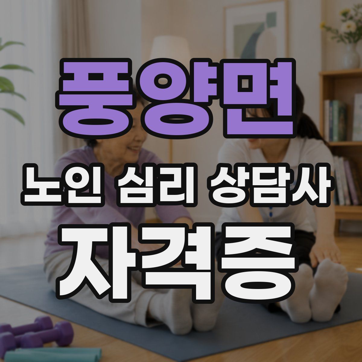 풍양면 노인 심리 상담사 자격증