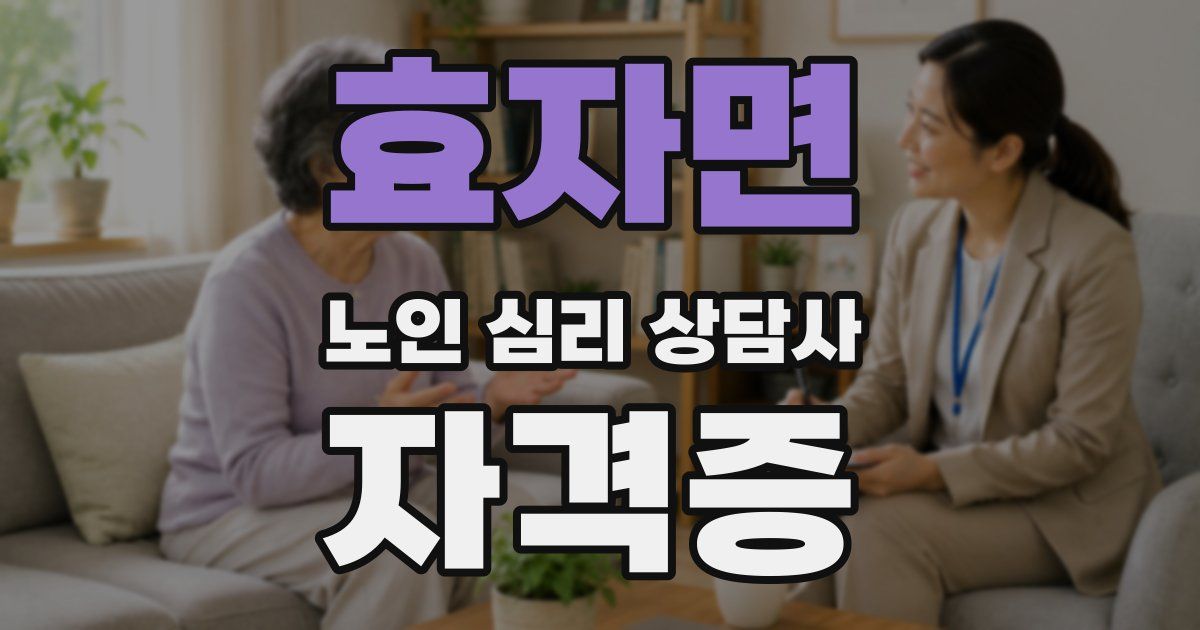 효자면 노인 심리 상담사 자격증