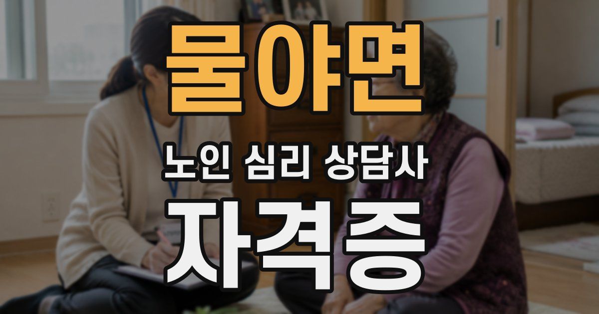 물야면 노인 심리 상담사 자격증