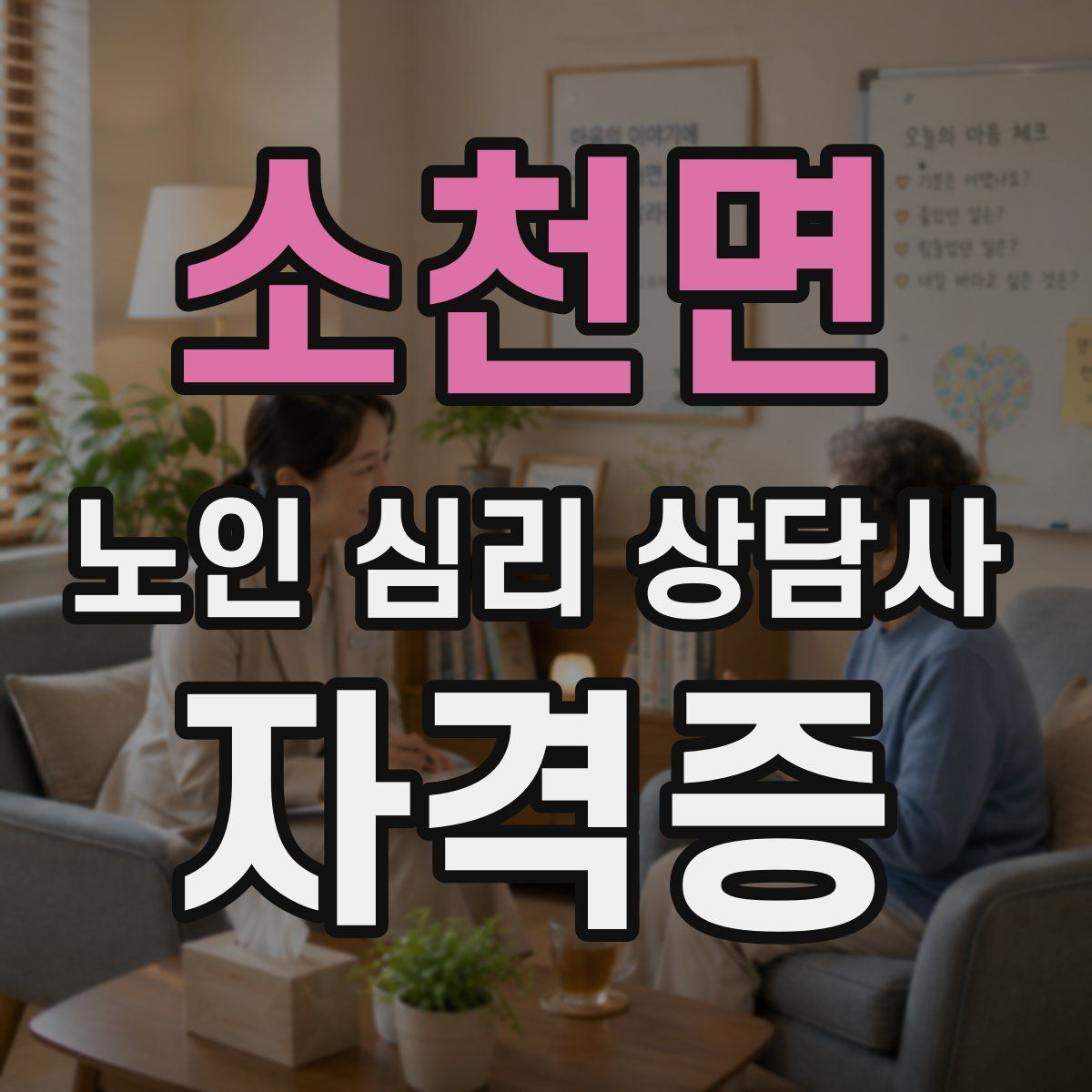 소천면 노인 심리 상담사 자격증