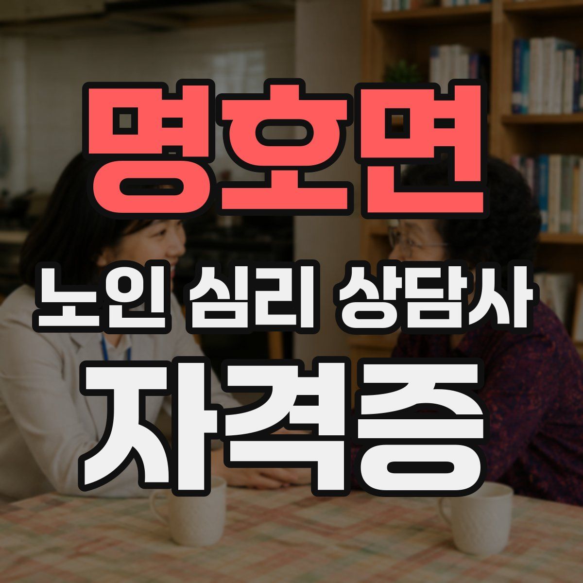 명호면 노인 심리 상담사 자격증