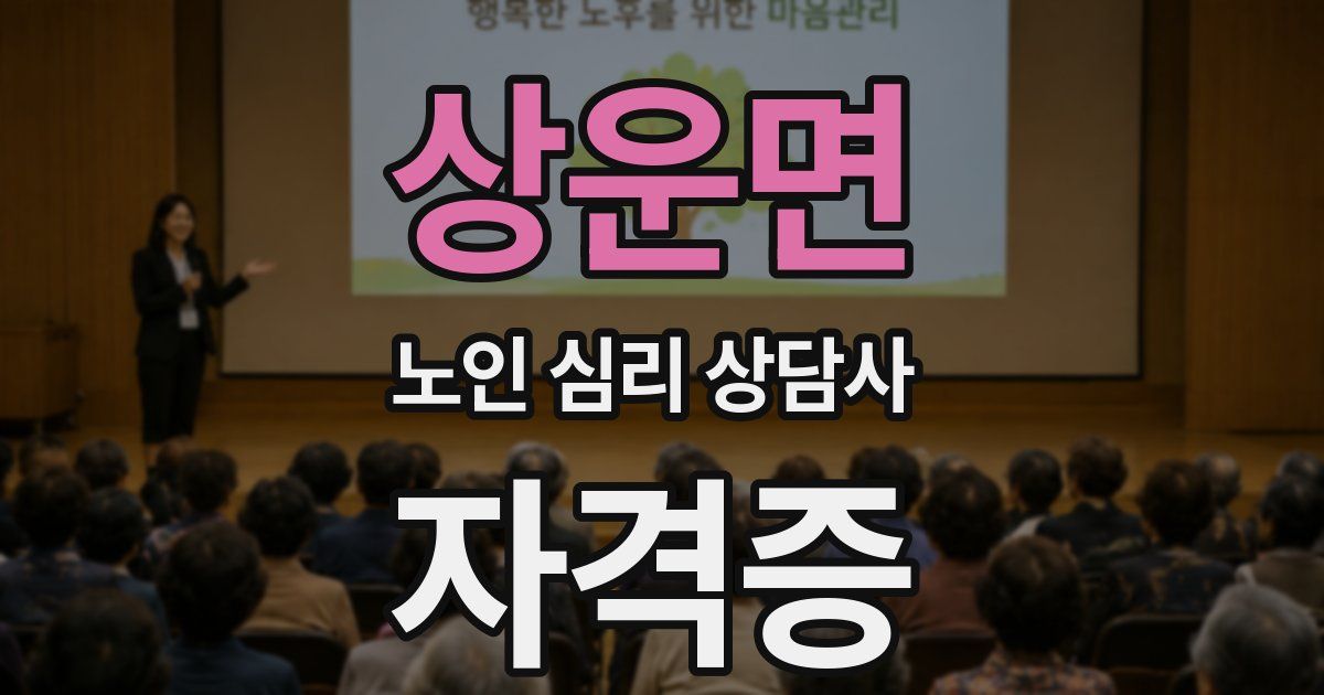 상운면 노인 심리 상담사 자격증